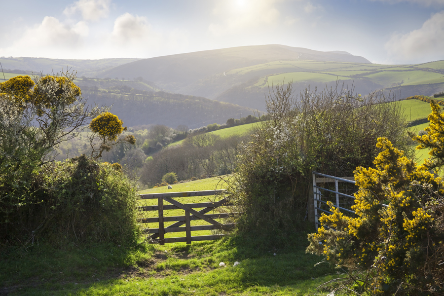 Farmland rights of way: Everything landowners need to know