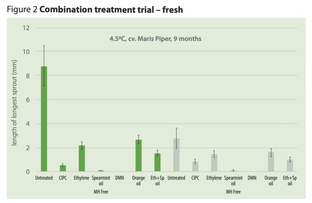 Sprout control in potato stores Practical solutions for getting the best out of ethylene and