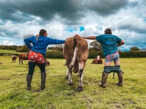 Farmers get their Bulls out for Cancer in new charity campaign working with UK farmers