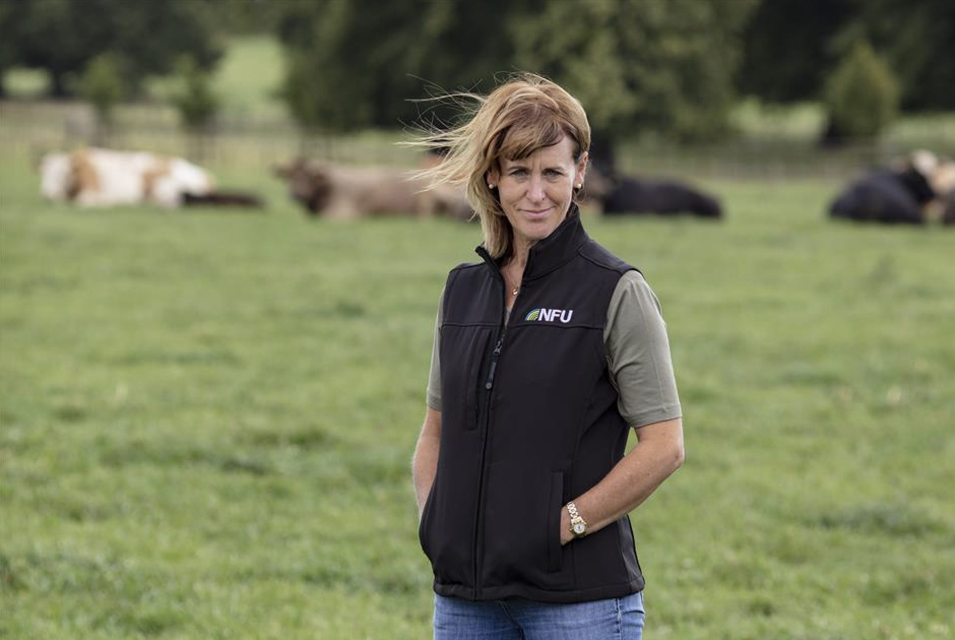NFU president, Minette Batters stood in a field, cows laying down in the distance.