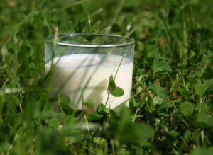 Clear glass of milk on green grass