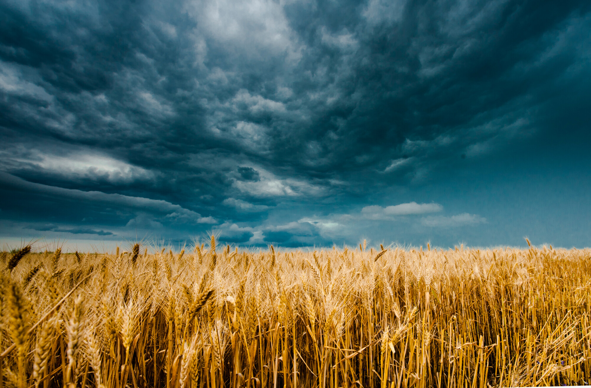 Sombre Field fatal farm accidents