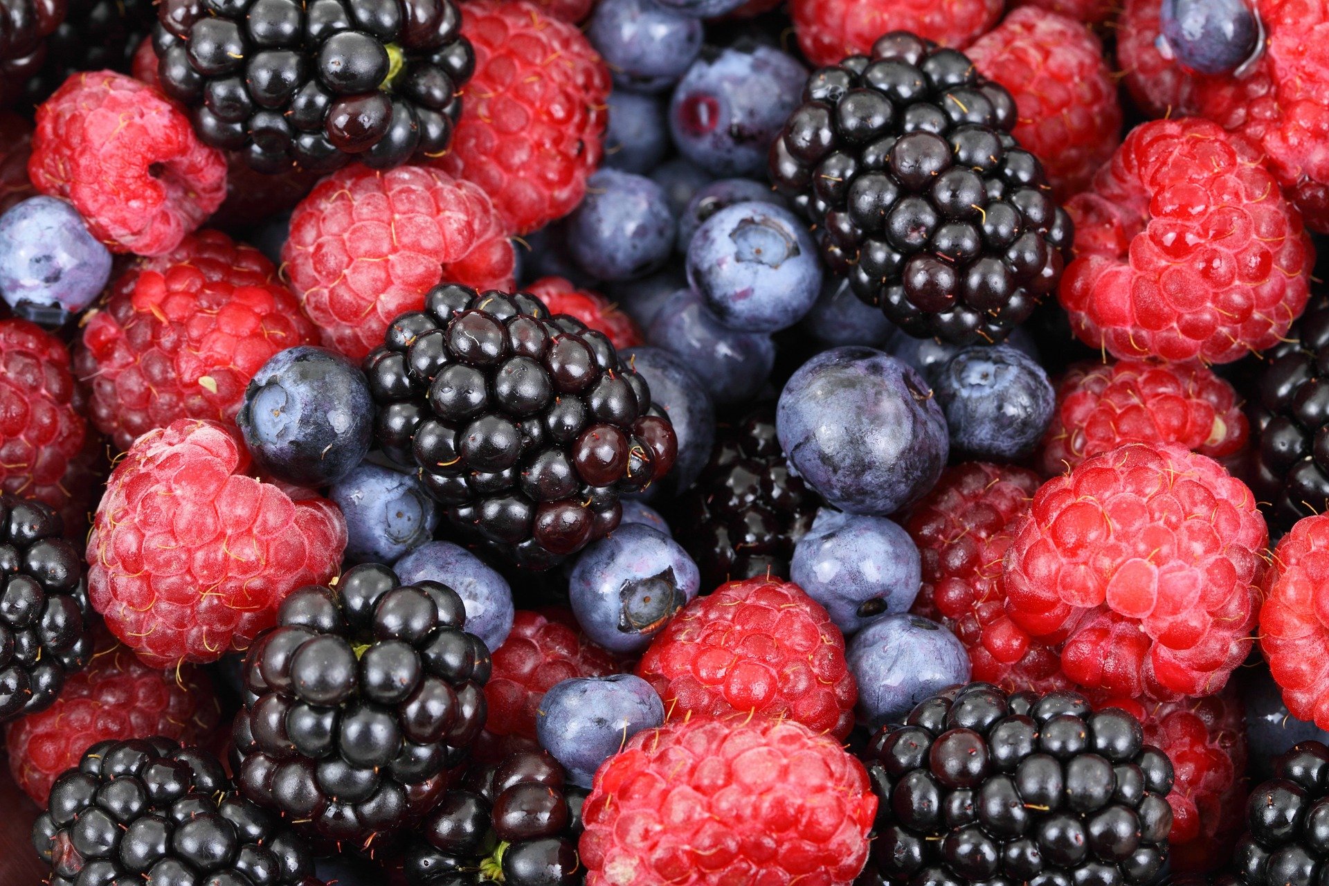 Close up of mixed berries for National Berry Month