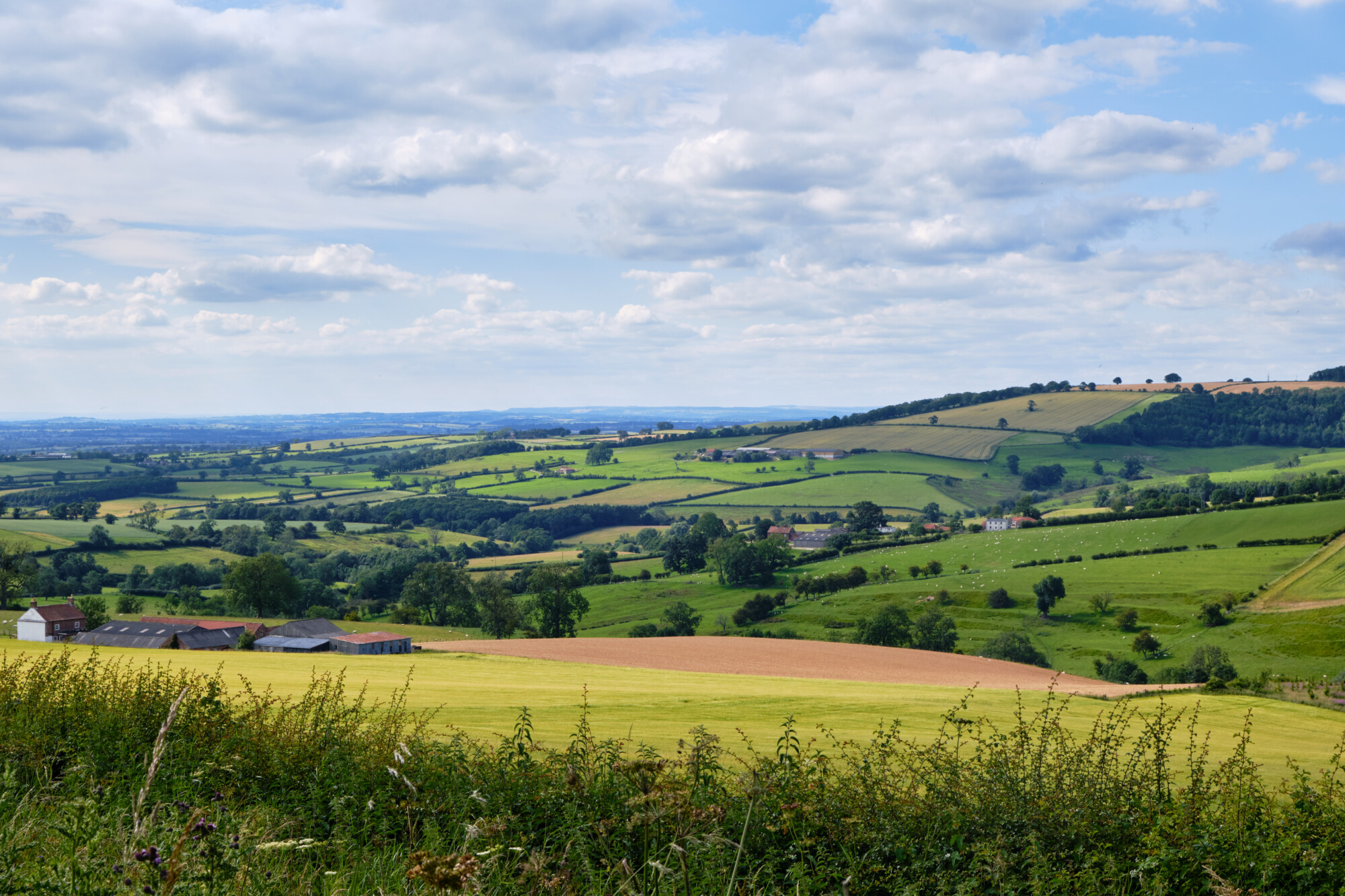 A colourful view over the Yorkshire Wolds valley with bright coloured fields and trees dotting the landscape under a blue sky with clouds