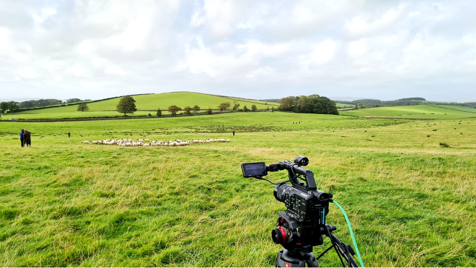 Gigabox filming sheep dog trials 