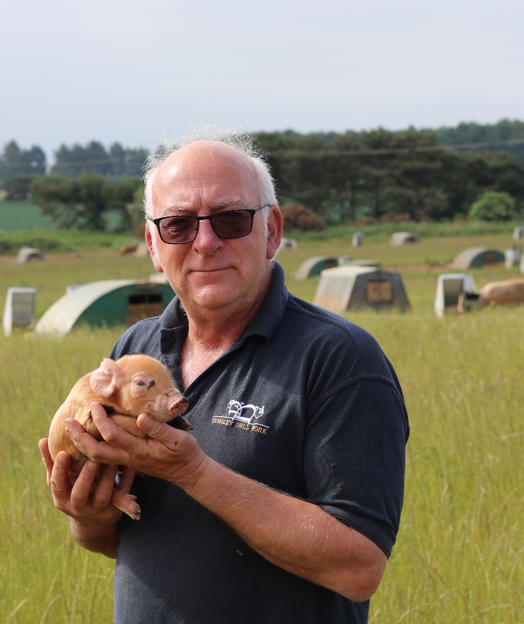 Farmer Mark Hayward in a pig field holding a piglet. 