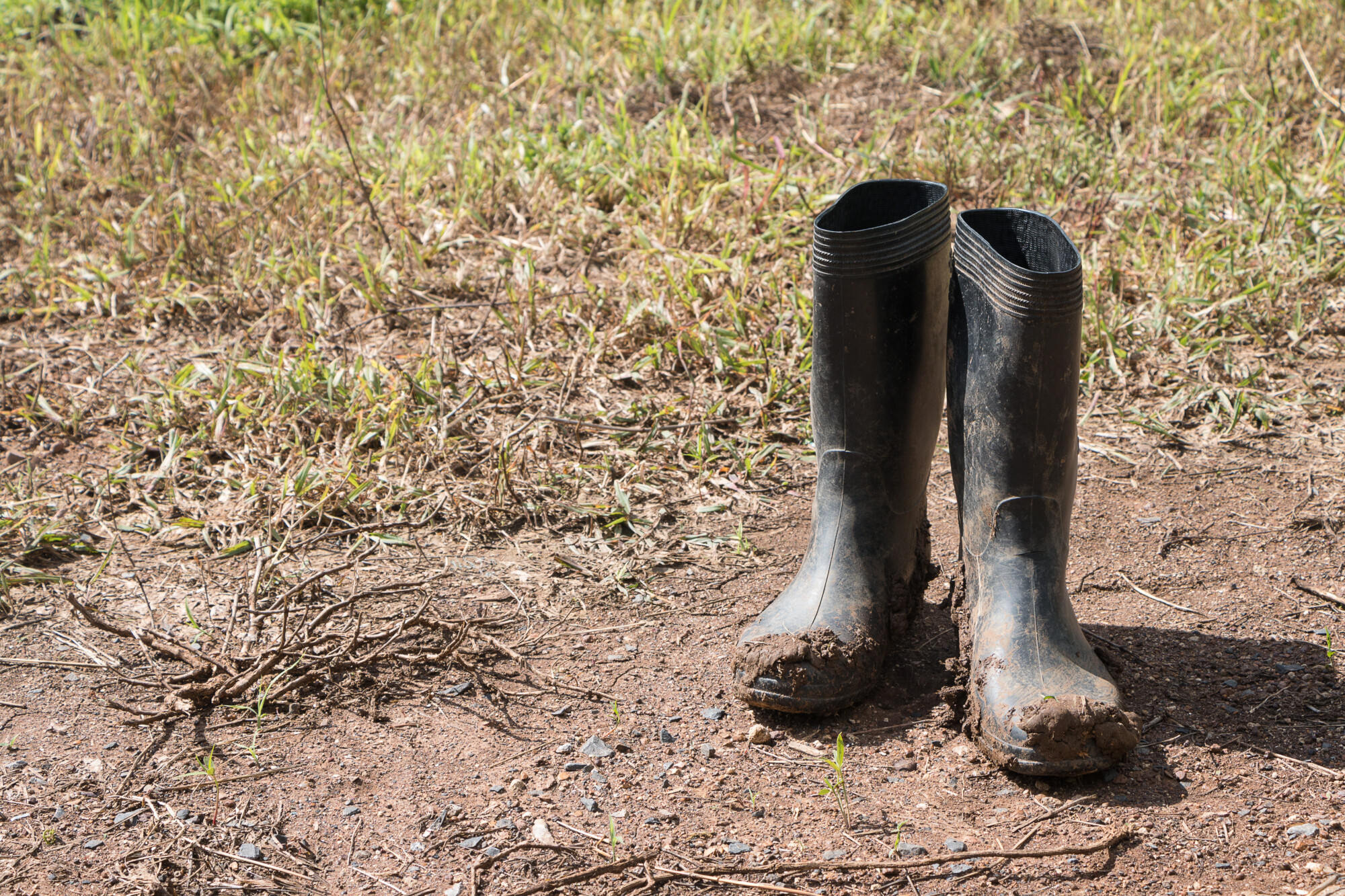 Farm Safety week 