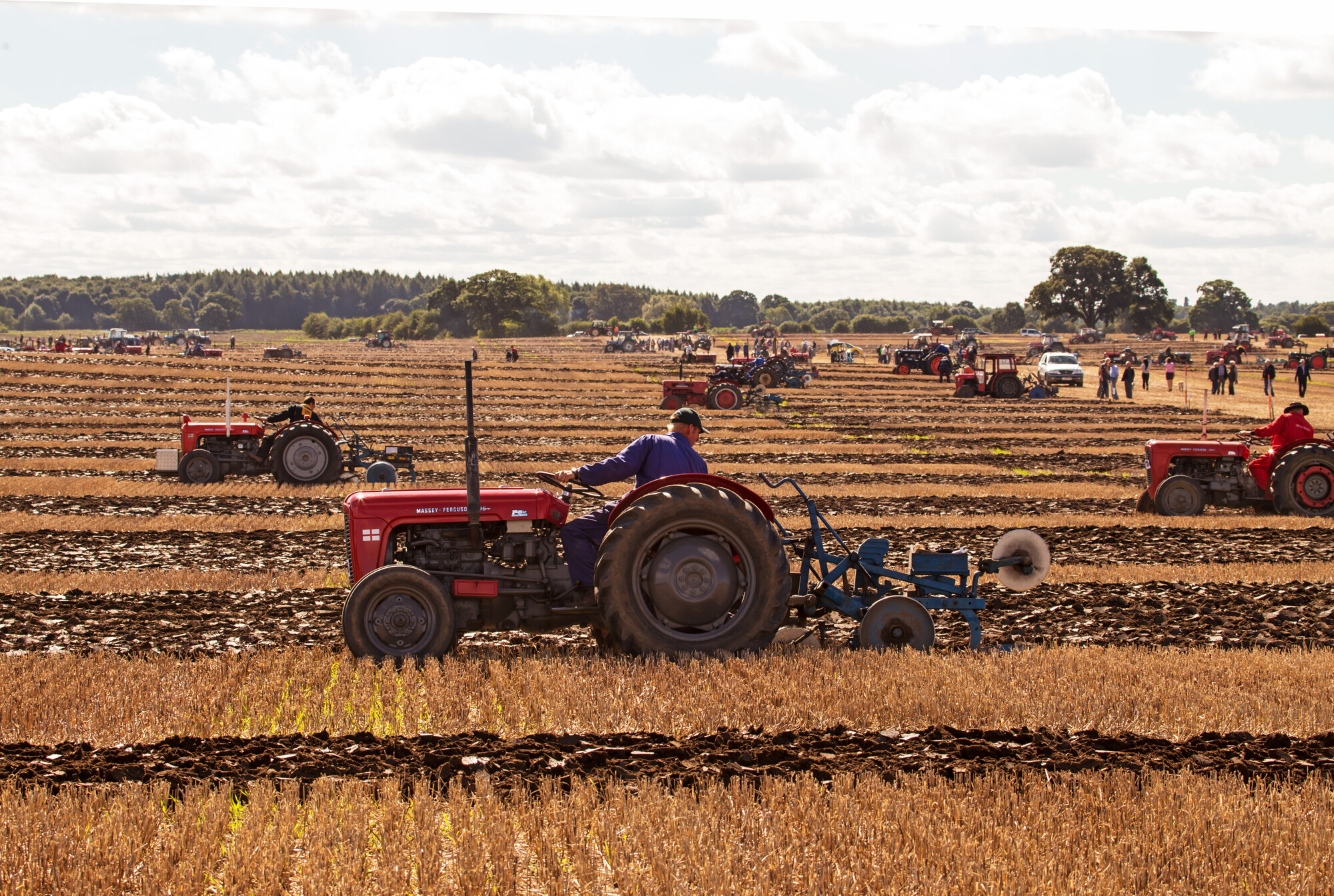 British National Ploughing Championship