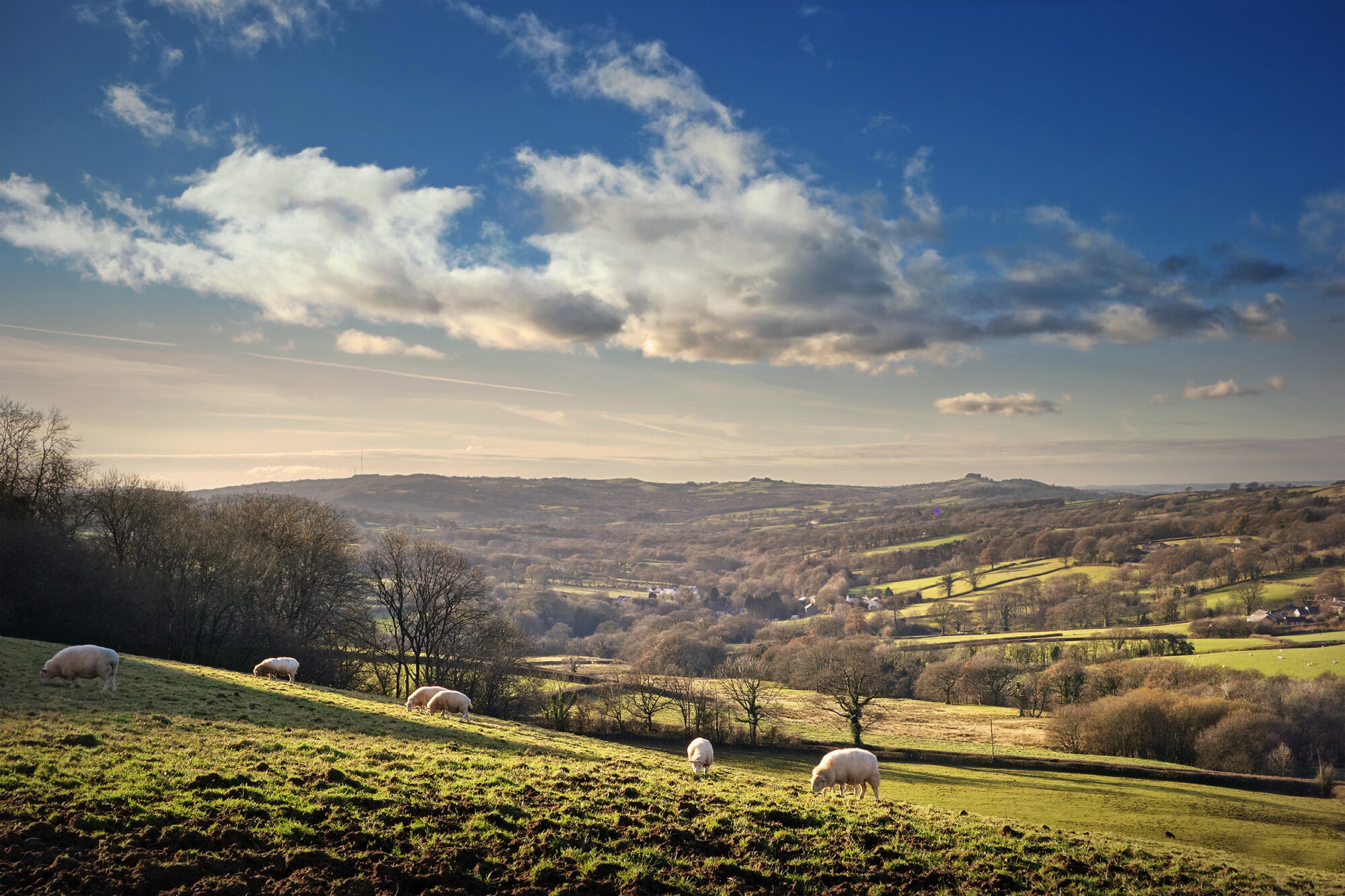 countryside farmland