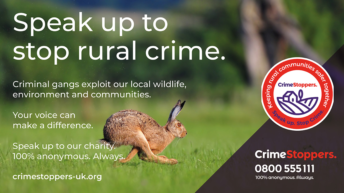 Crimerstoppers information about rural crime prevention with an image of a hare. 