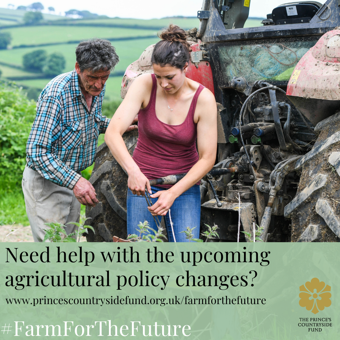 Farm for the Future programme