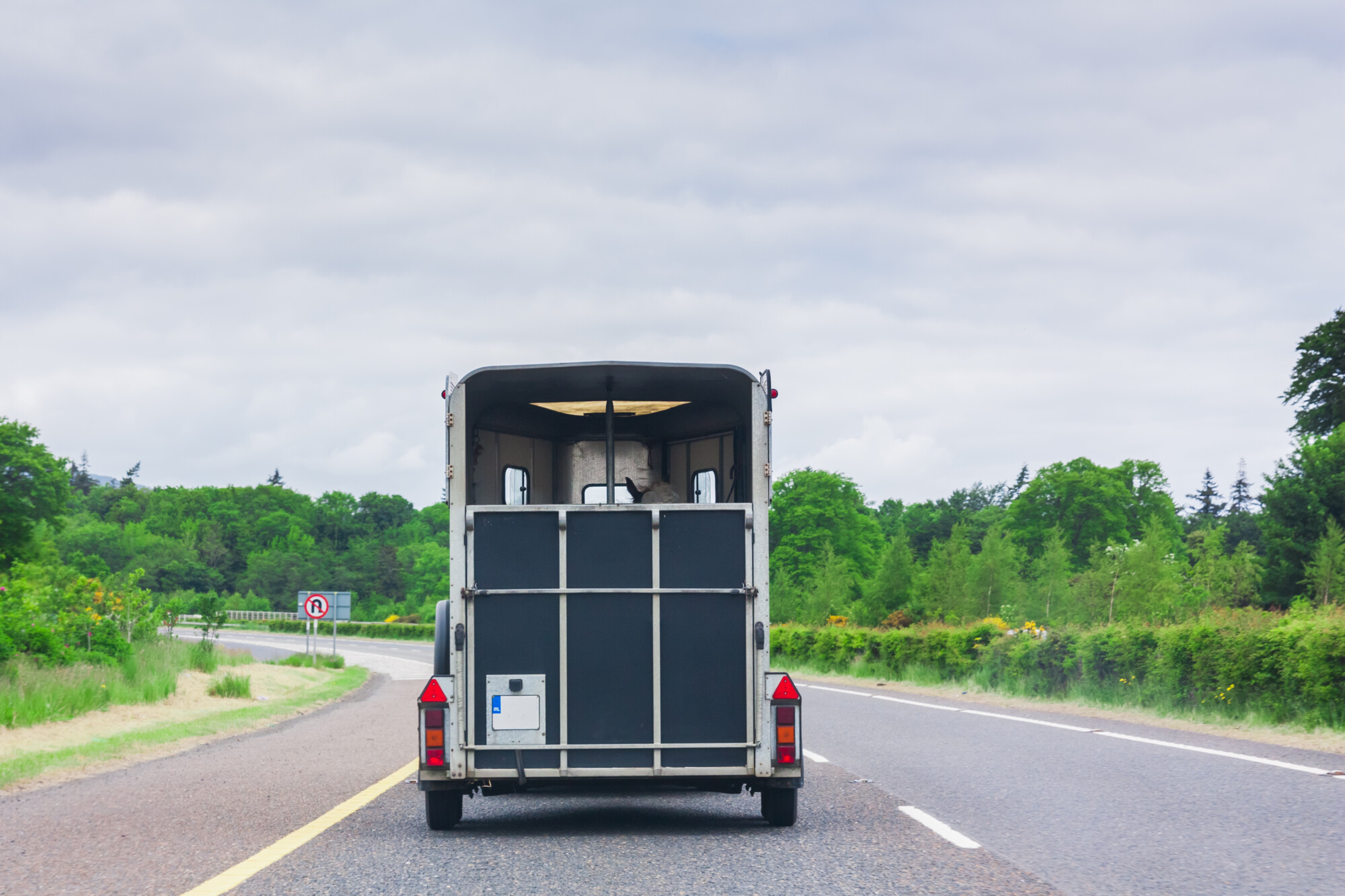 trailer law changes Uk. Horse transport on motorway.