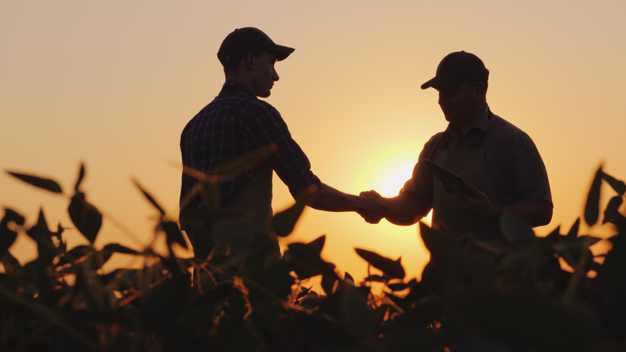 New partnership offers £500,000 boost to farm sustainability research 