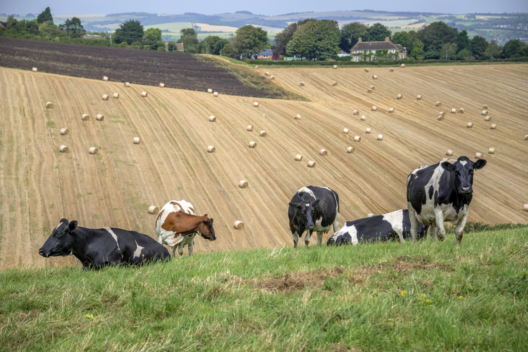 Trading Standards win prestigious award for supporting farmers