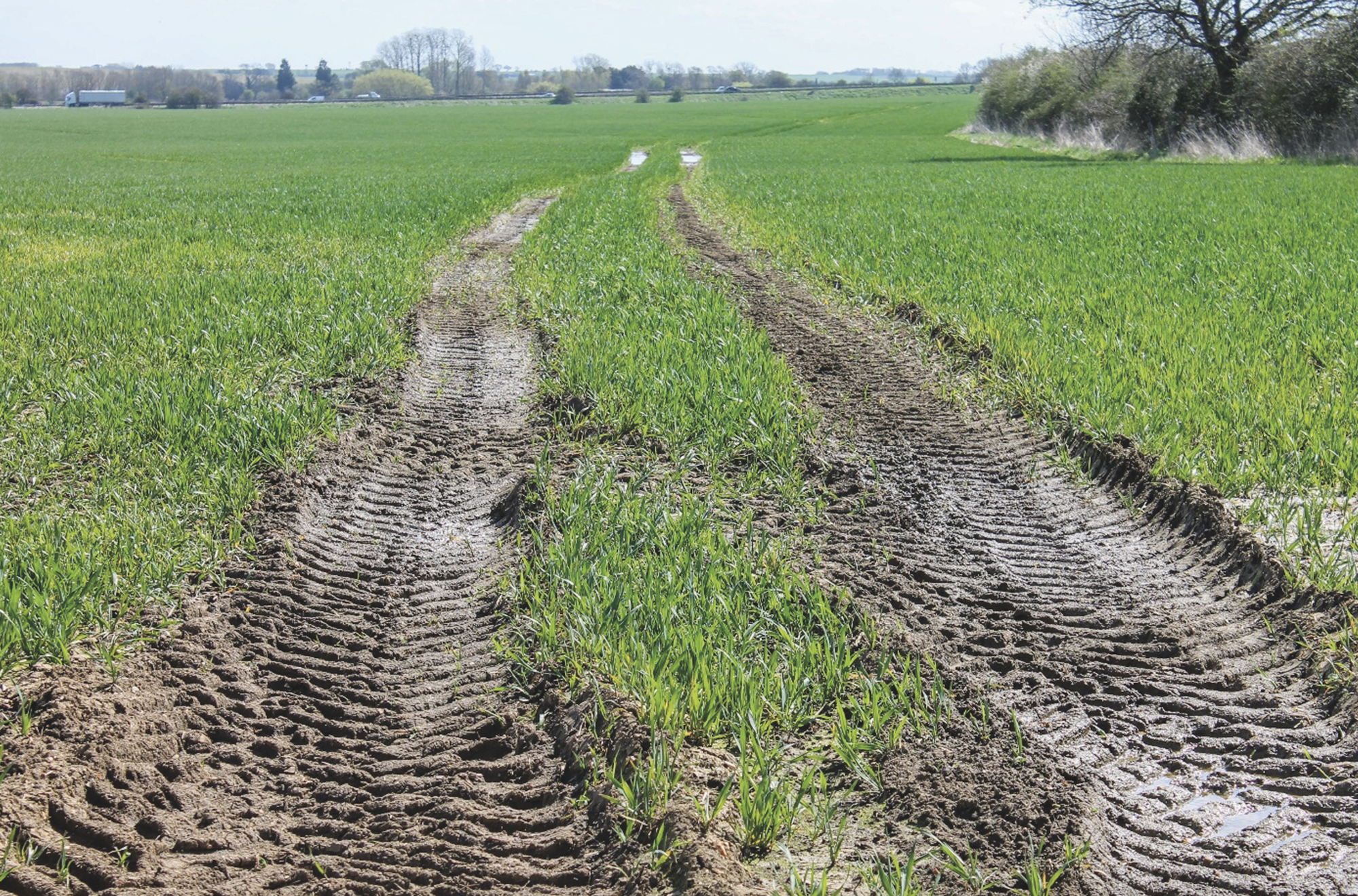 Wet soil – harvest damage avoidance and rectification