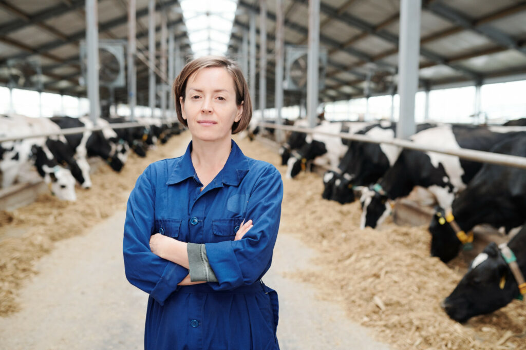 Female dairy farmer in a barn with cows. UK Dairy Roadmap