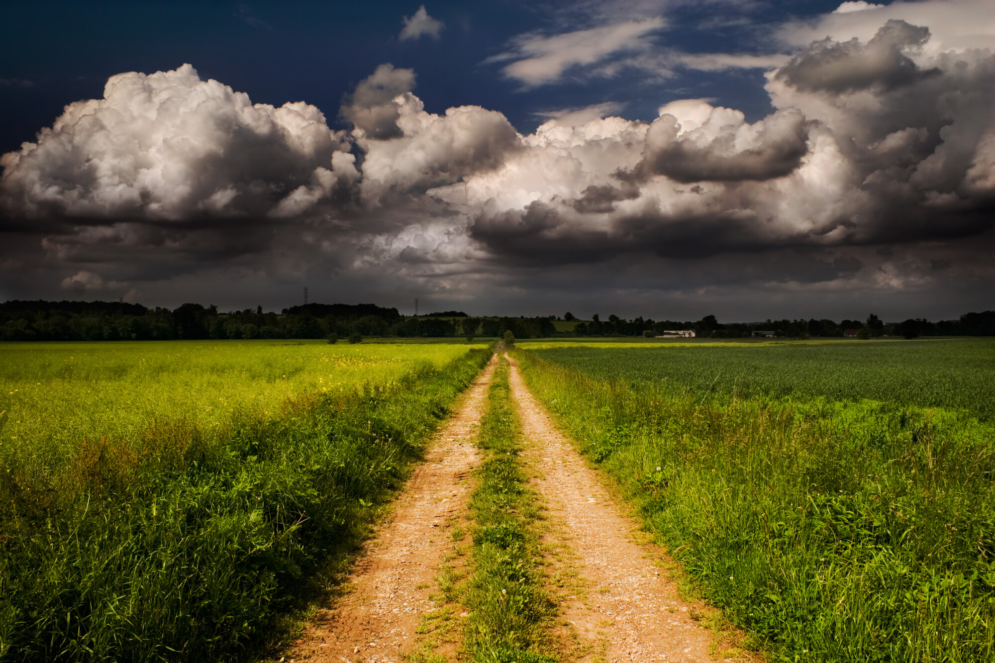 Farmers urged to prepare for severe weather 