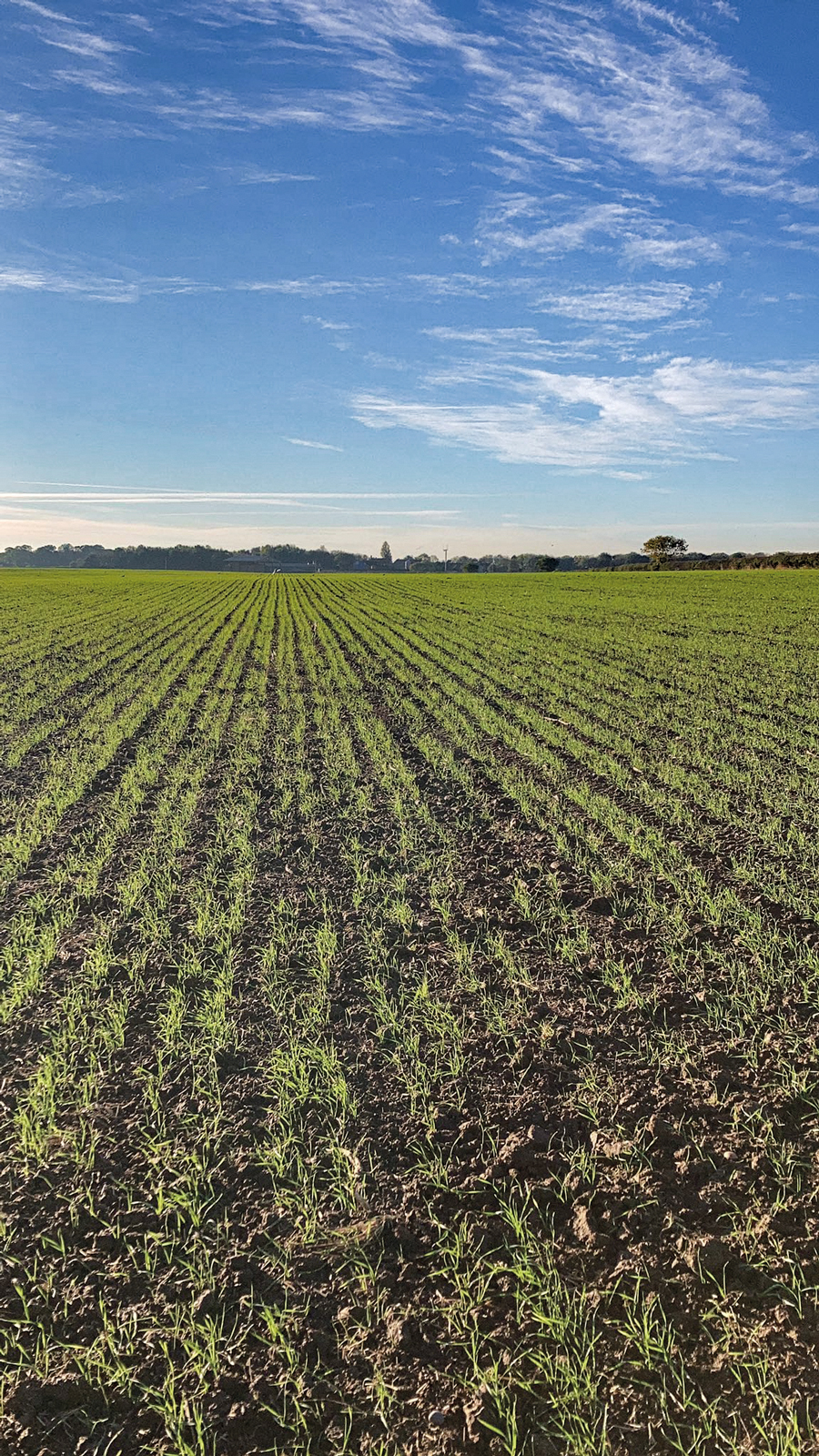 Soil care and crop health – more than just tillage