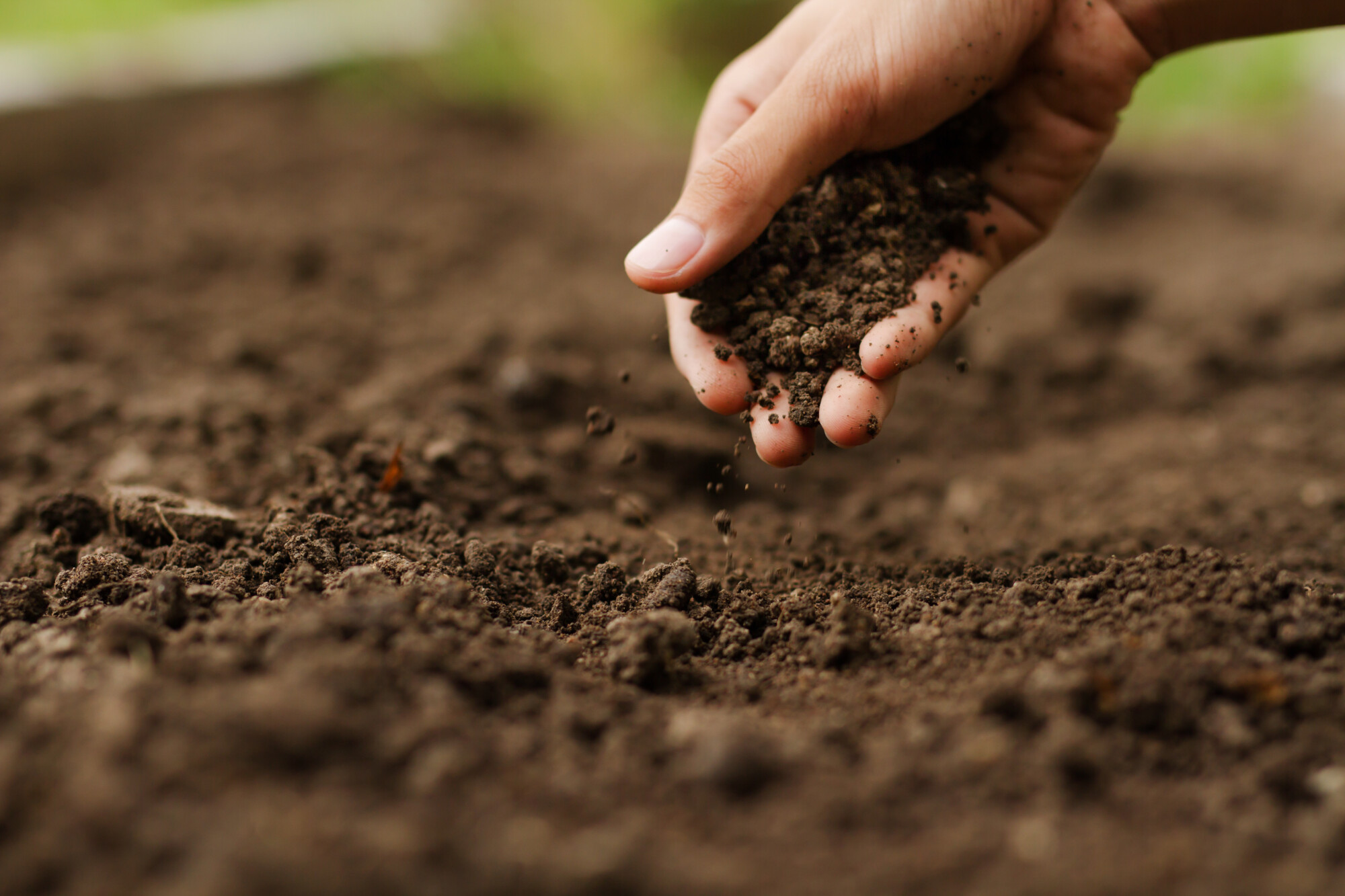 New guide to help farmers assessing soil carbon