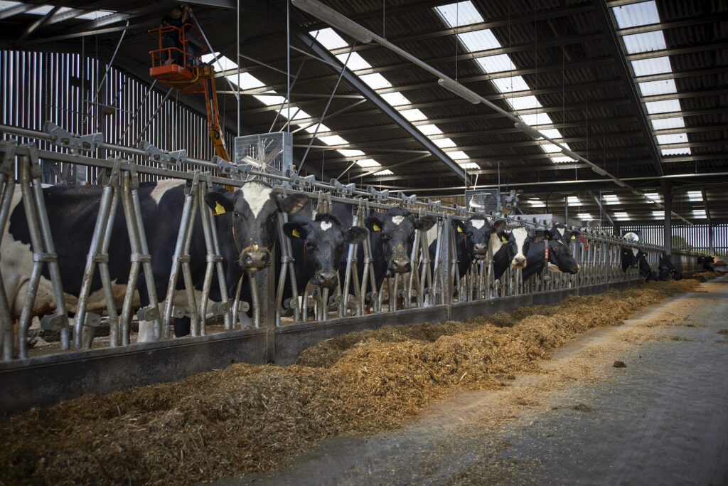 Beat the heat: The importance of ventilation for dairy farming and animal welfare 8 Hydor Keen s 61