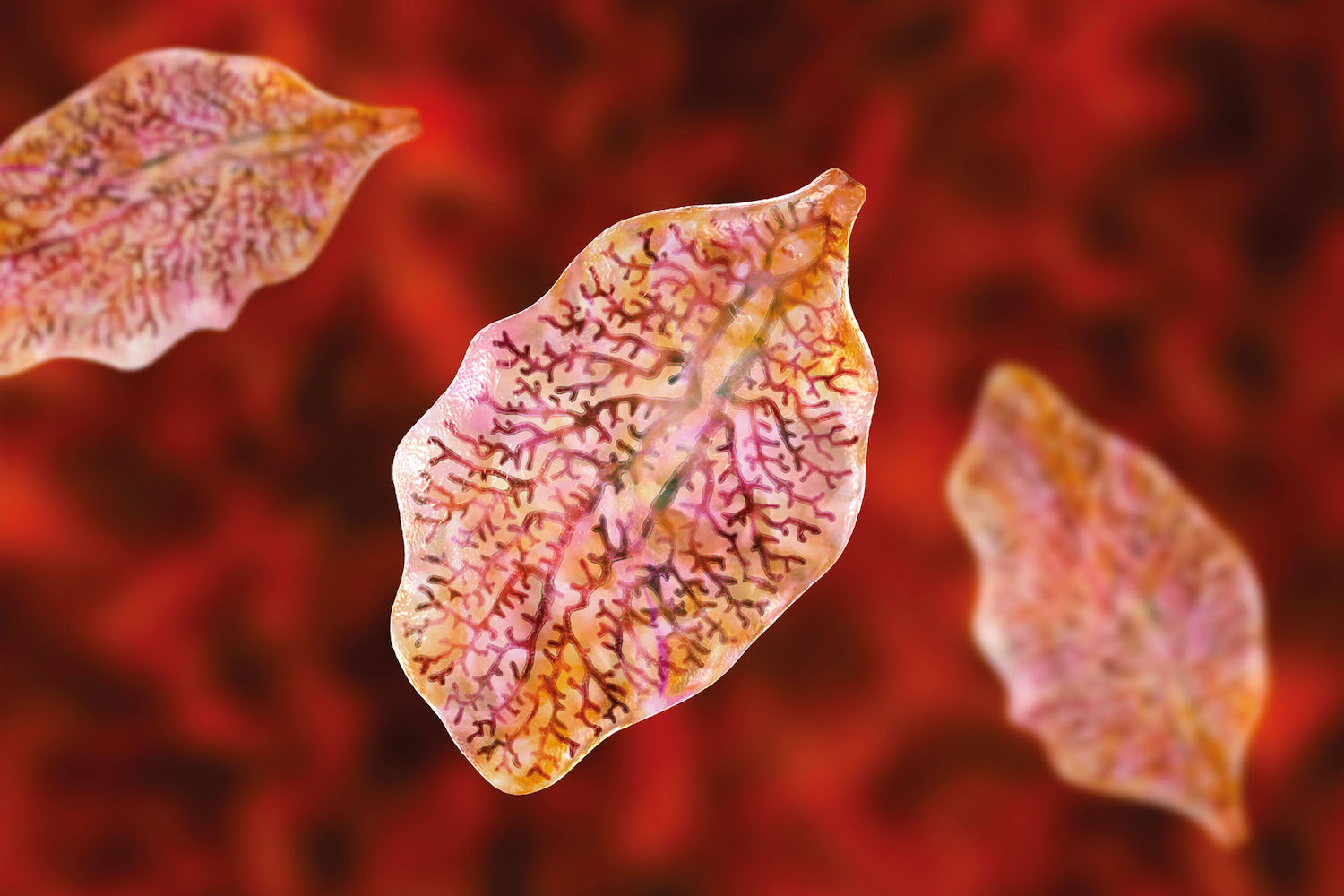 Could better liver fluke control reduce methane emissions? Farmers Guide