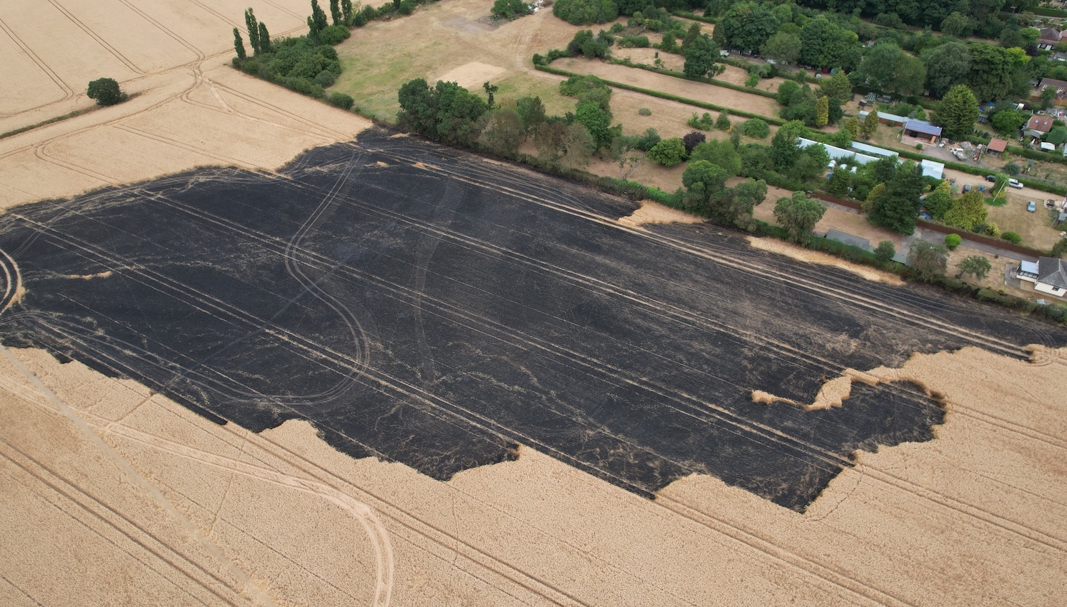 Suffolk field fire destroys seven acres of crop Farmers Guide