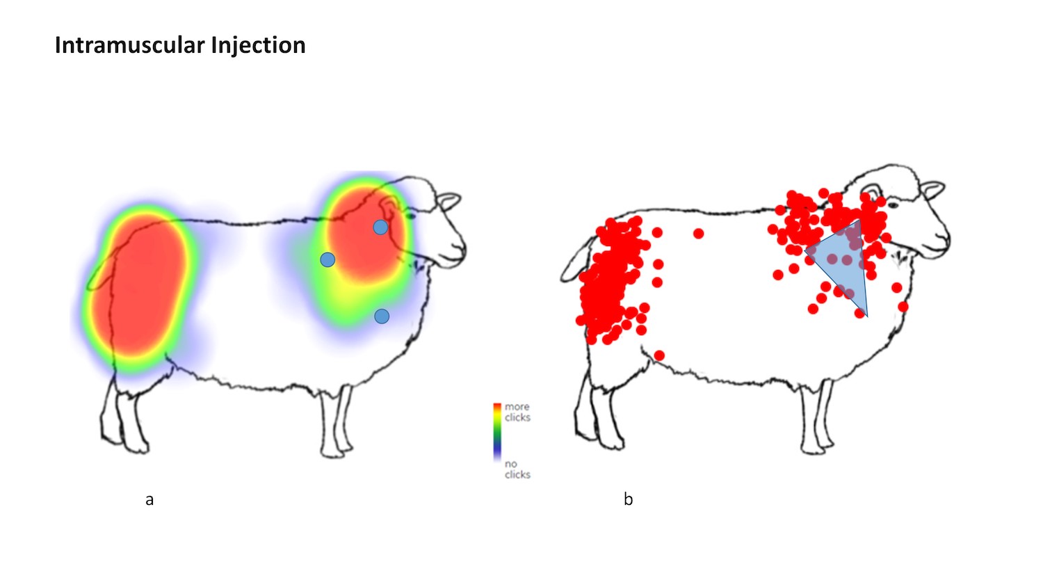 Better training needed to tackle suboptimal sheep vaccination, survey
