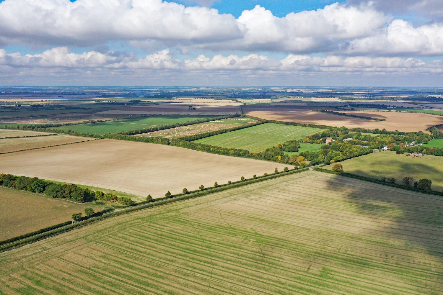 "Major investment opportunity" as 1000acre farm hits the market