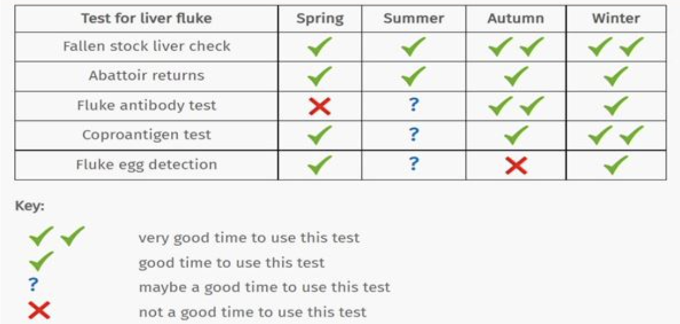 Testing this winter is the key to liver fluke control in livestock