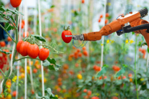 New funding for agriculture and horticulture automation and robotics