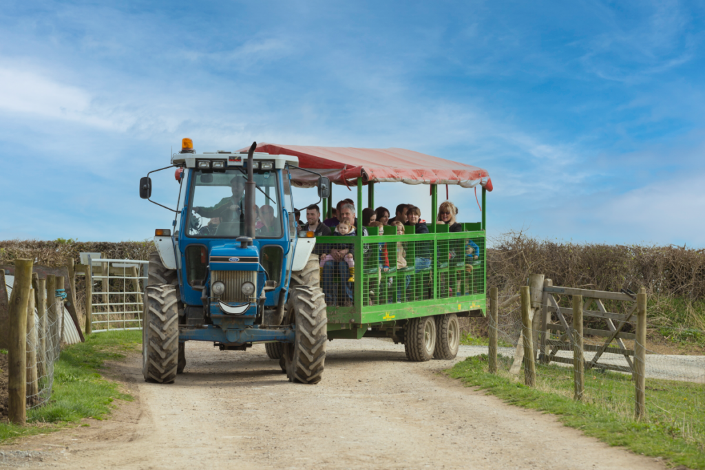 A tractor with a trailer transporting visitors to the farm.