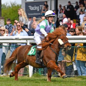 Derbyshire Country Show 2023 shetland racing