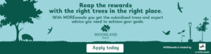 Woodland Trust MOREwoods scheme for farmers and landowners looking to diversify