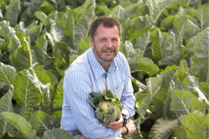 Advice for pest control to protect brassica plants
