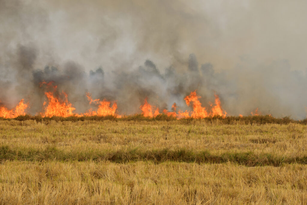 farmers field on fire