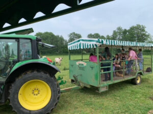 A tractor pulling a trailer filled with visitors to Parc Grace Dieu Farm