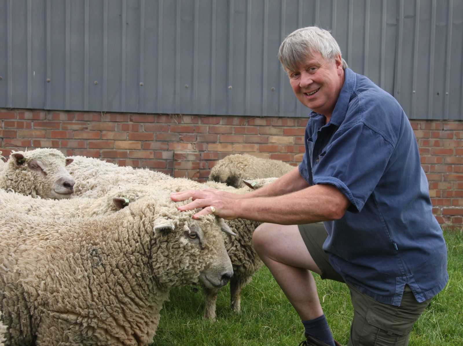 New unofficial sale for pedigree Southdowns launched at Thrapston