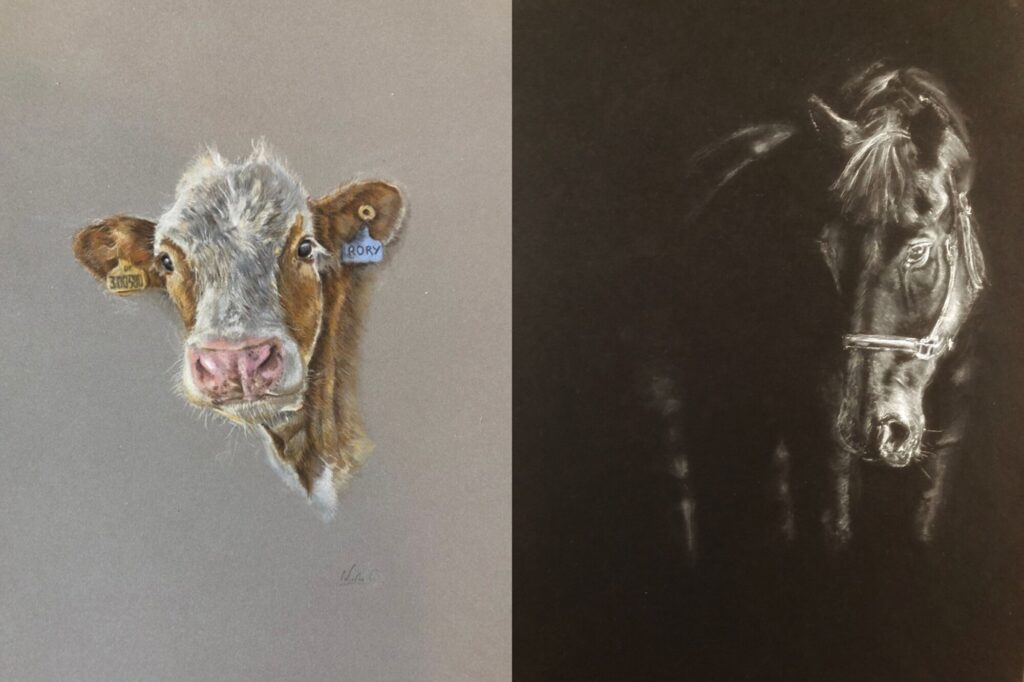 On the left, a painting of a Jersey cow's head, and on the right a black horse looking down, on a black background.