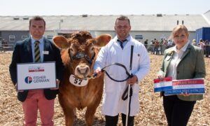 Royal Bath & West Show 2023 livestock champion winners
