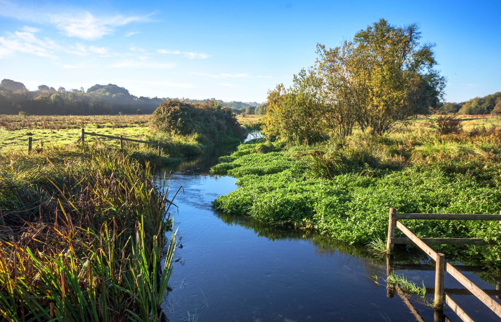 Farmers along rare chalk streams join largescale environmental