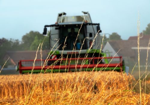 Combine harvester from afar harvesting grain and posing a danger