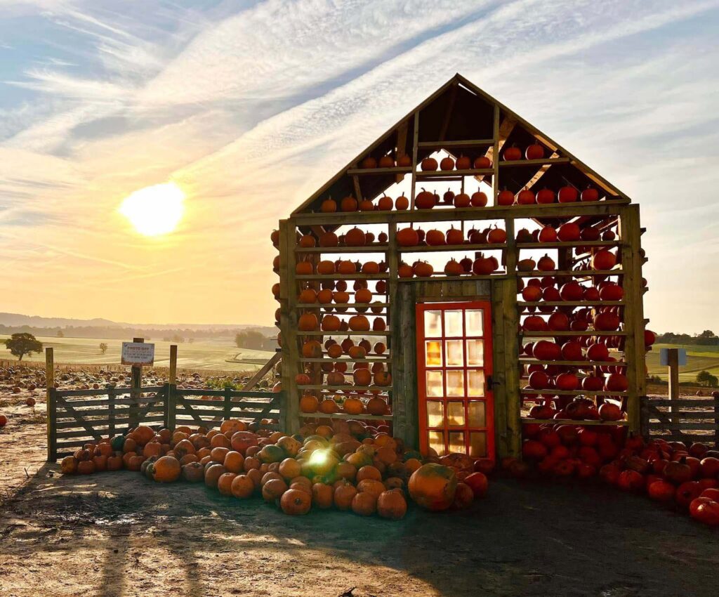 Small wooden house with pumpkins placed on and around it, with field in the background. At Farmer Copleys farm in West Yorkshire