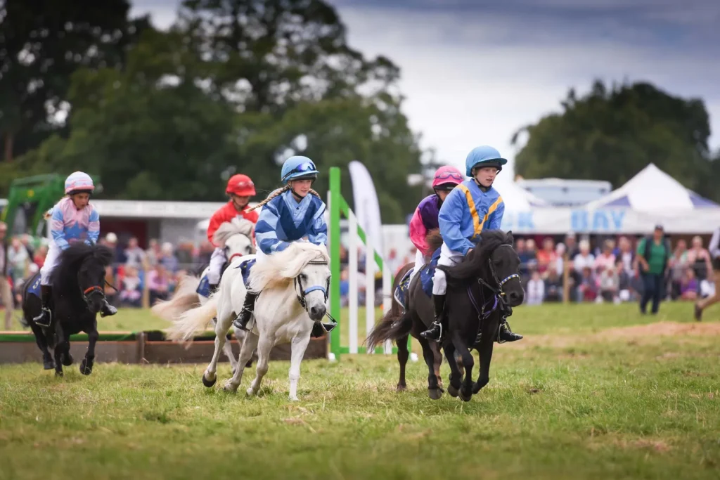 Ellingham Show 2023