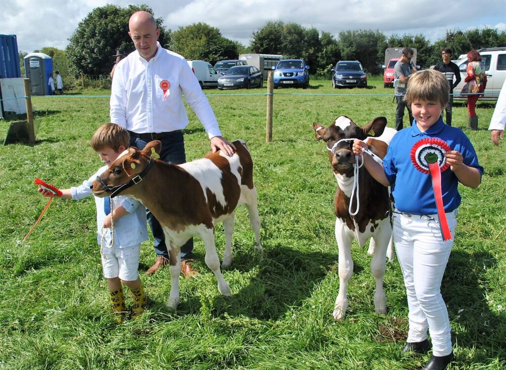 Nevern country show