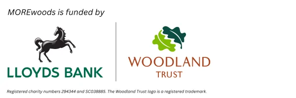 MOREwoods is funded by Lloyds Bank and Woodland Trust