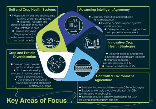 CHAP key areas of focus graphic