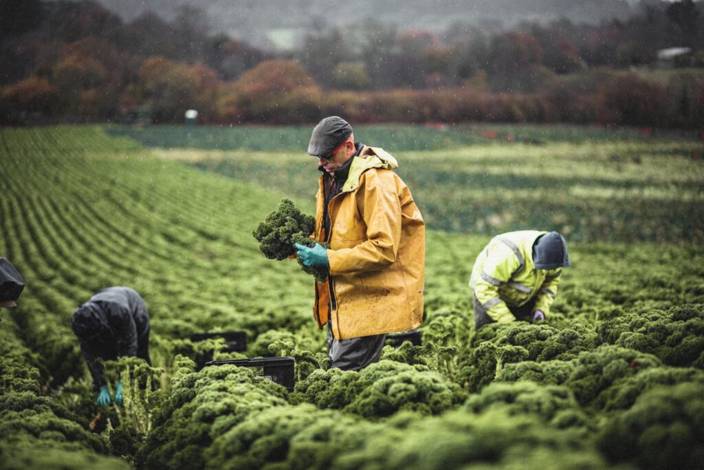 While suppermarkets are reporting record profits, hard-working farmers get paid pennies for their produce.