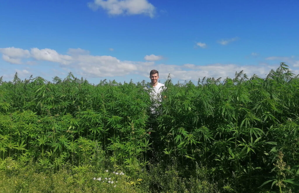 Hugh Wrangham standing in a field of hemp