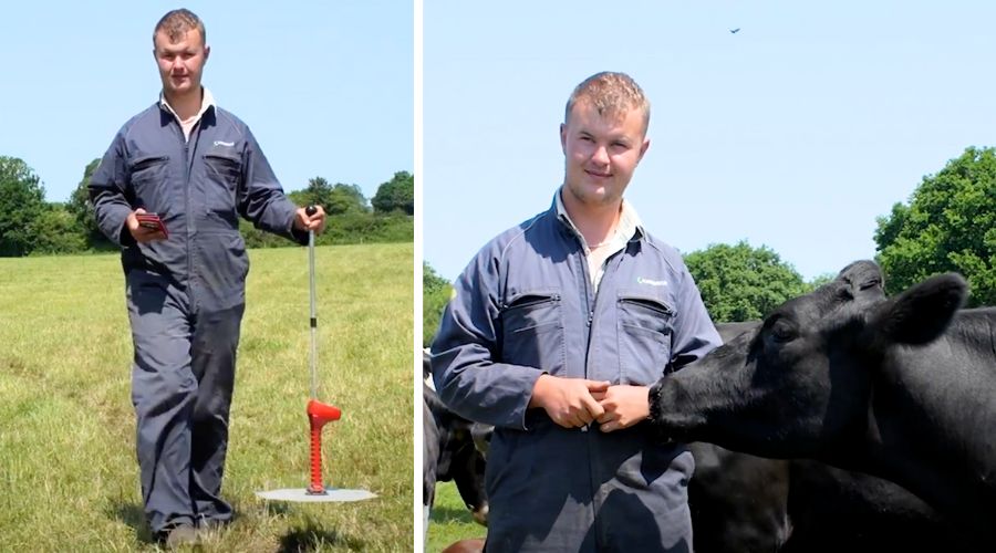 Adam Holman with black cow and cattle on West Dorset farm wearing farm gear, also surveying the ground in grassy field