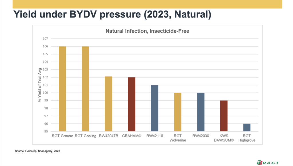 graph demonstrating the strength of the BYDV resistance in trials